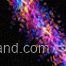 HelvioraBrand Logo